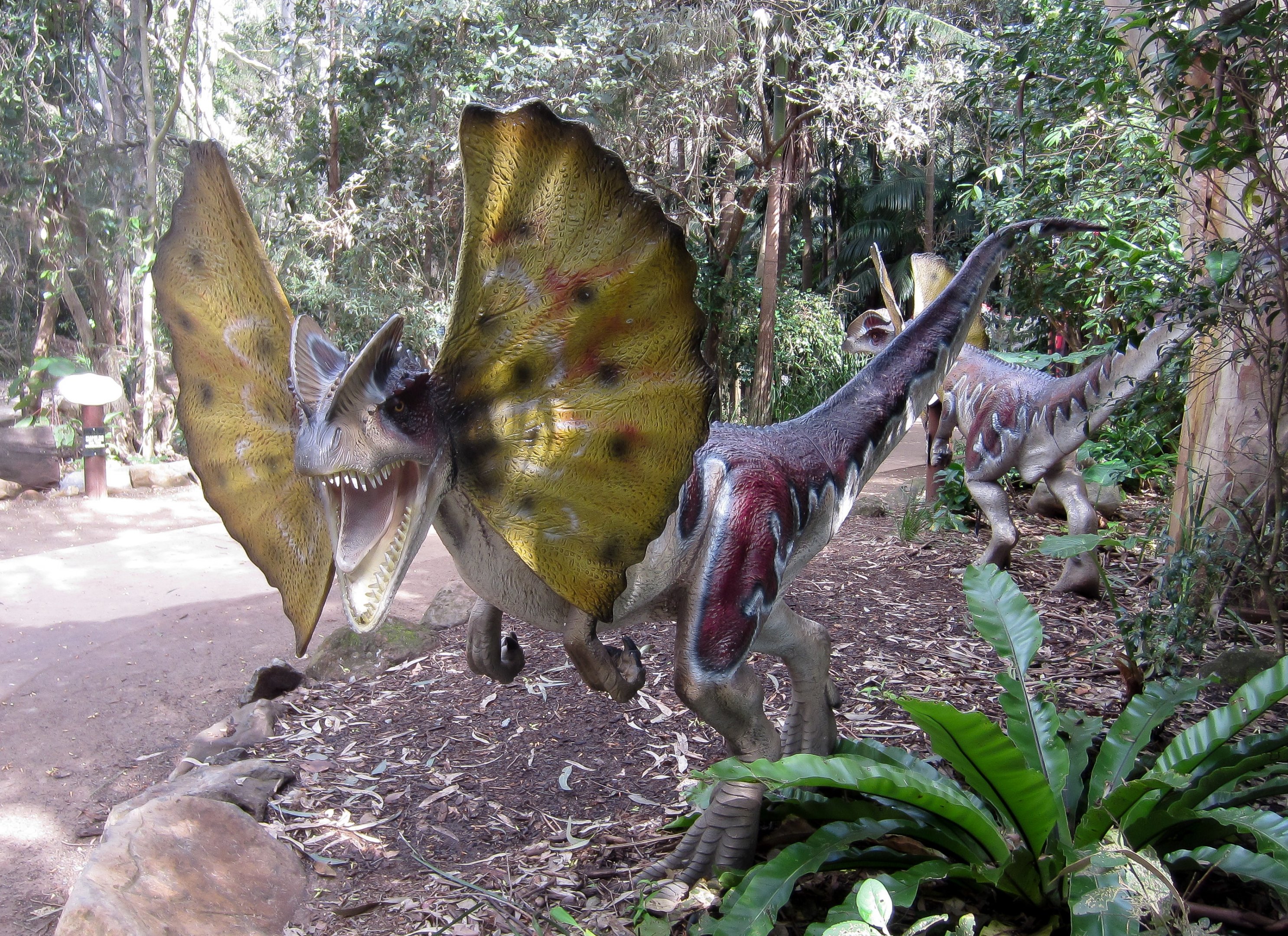 Dilophosarus