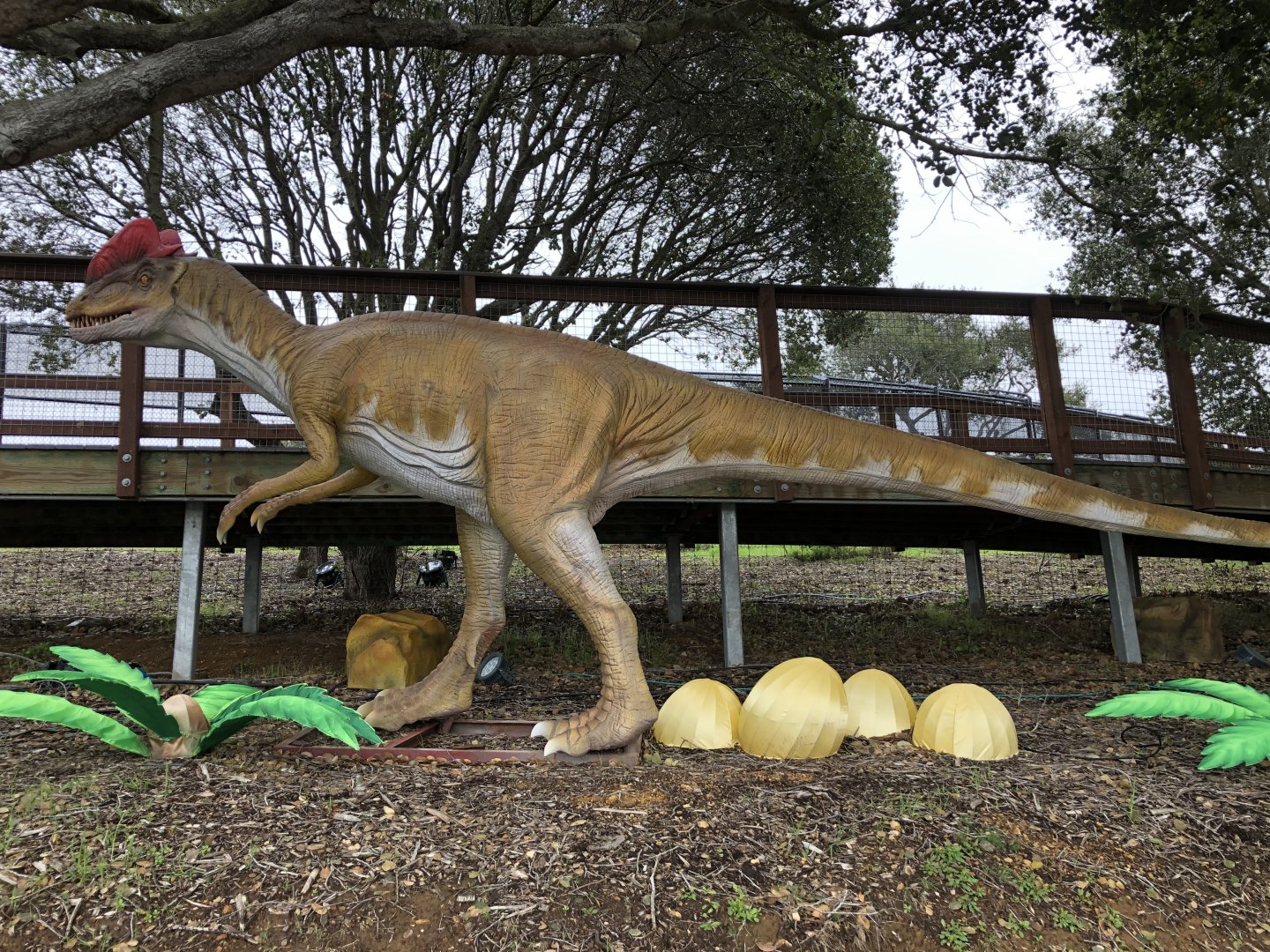 Dilophosaurus wetherilli