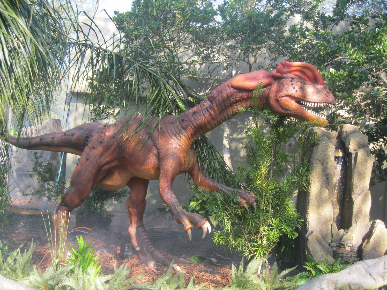 Dilophosaurus