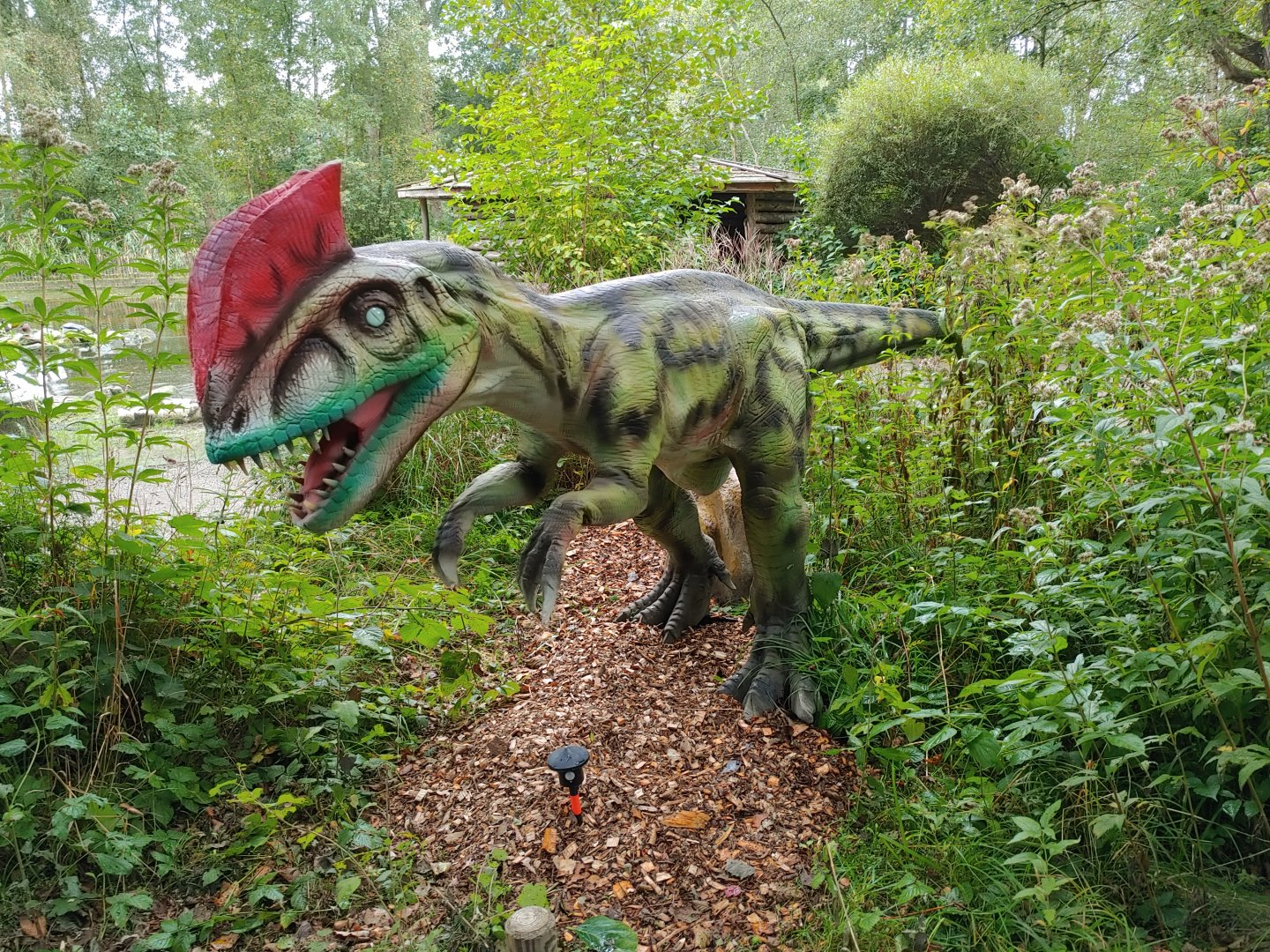 Dilophosaurus