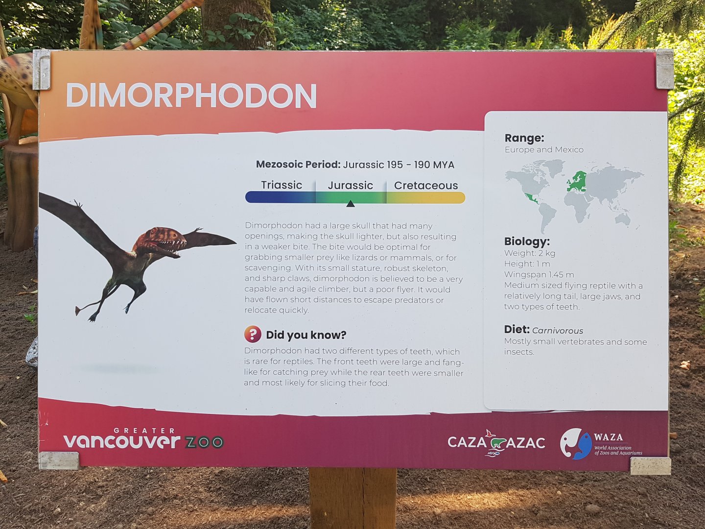 Dimorphodon Sign