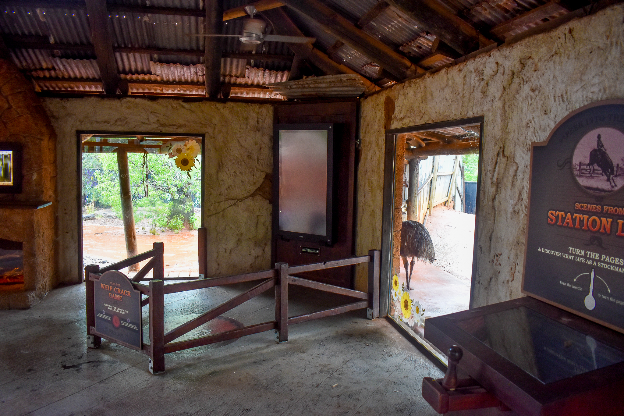 Dingo and Red Kangaroo/Emu Viewing Windows