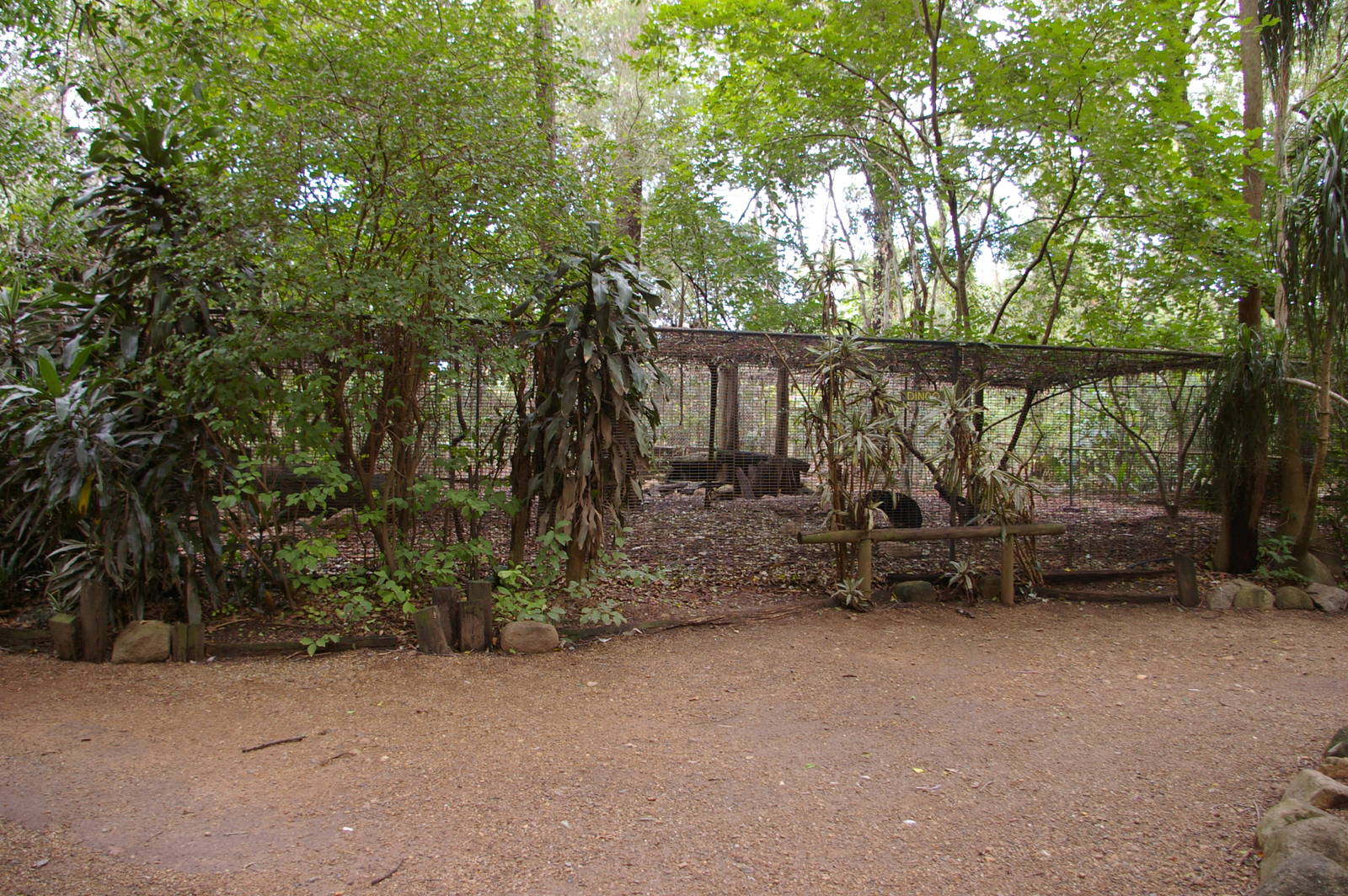 dingo cage, Alma Park Zoo