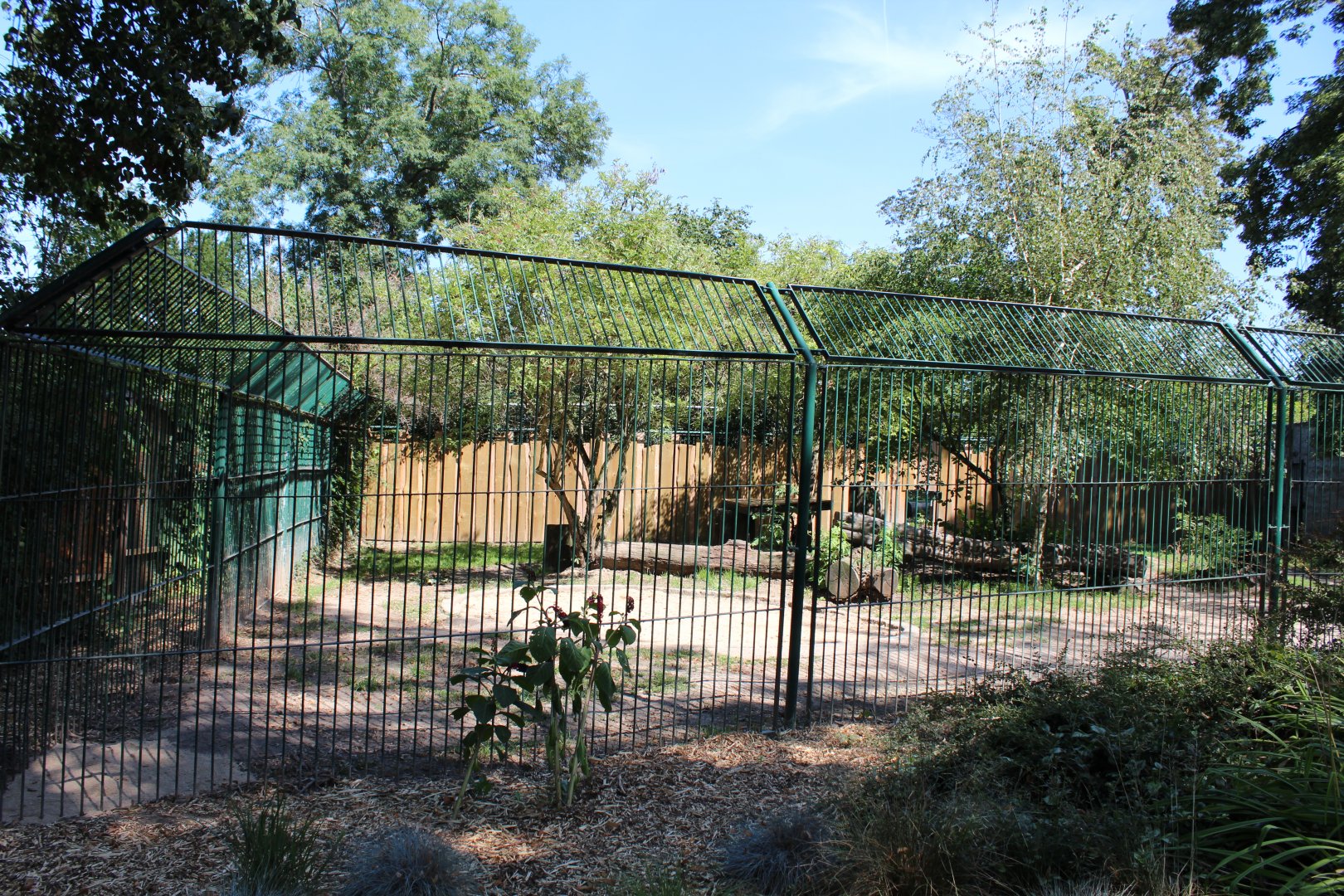 Dingo Enclosure - July 2019
