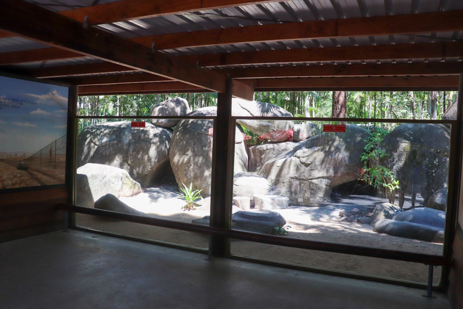 Dingo Enclosure - Viewing Window