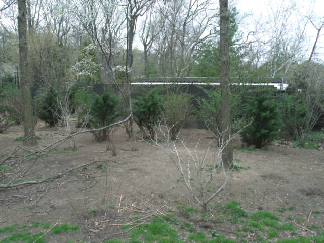 Dingo Enclosure