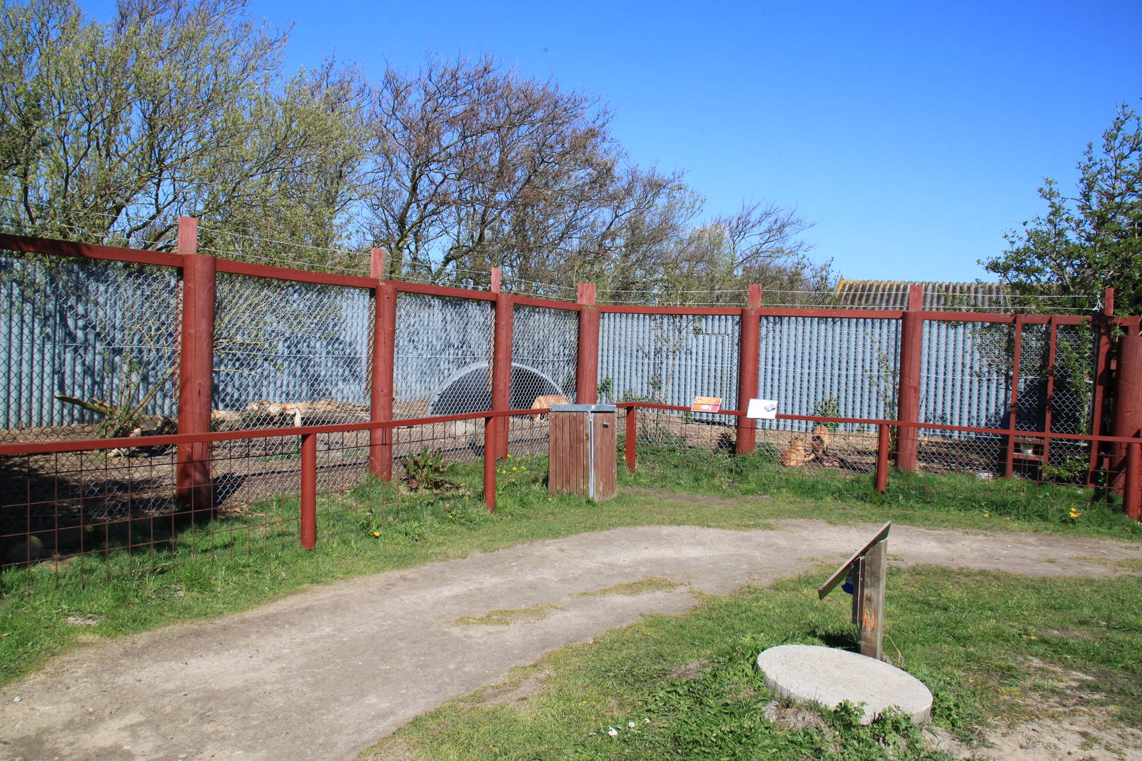 Dingo Enclosure