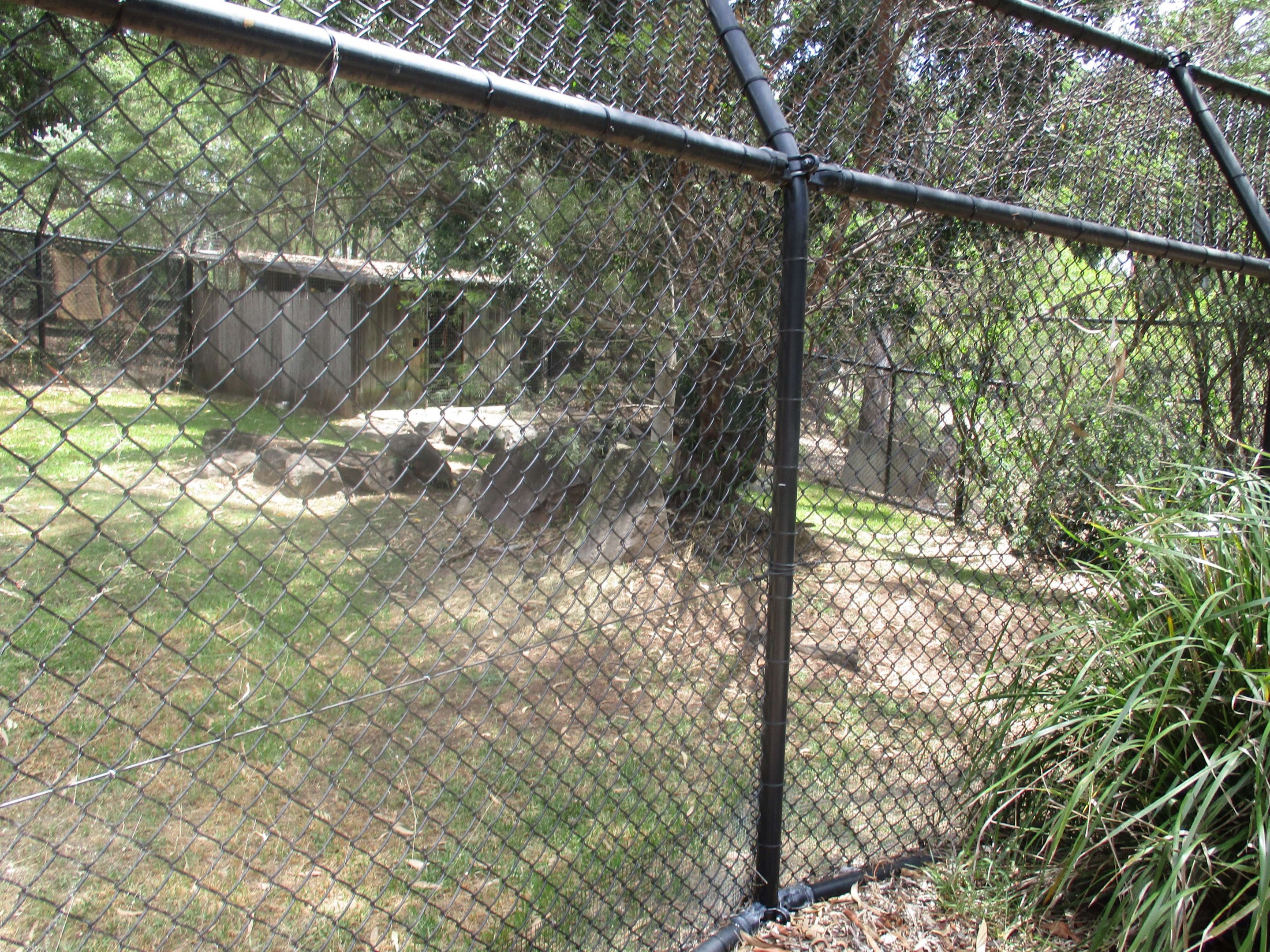Dingo Enclosure