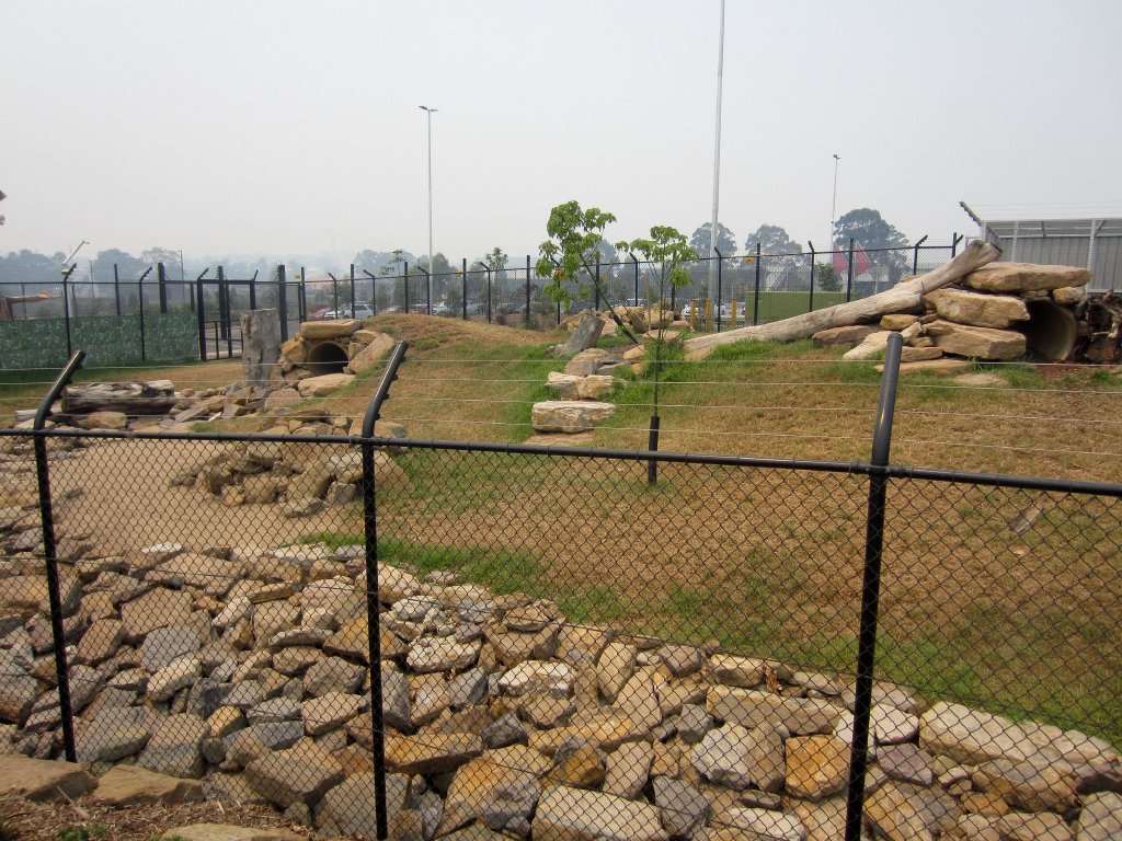 Dingo Enclosure