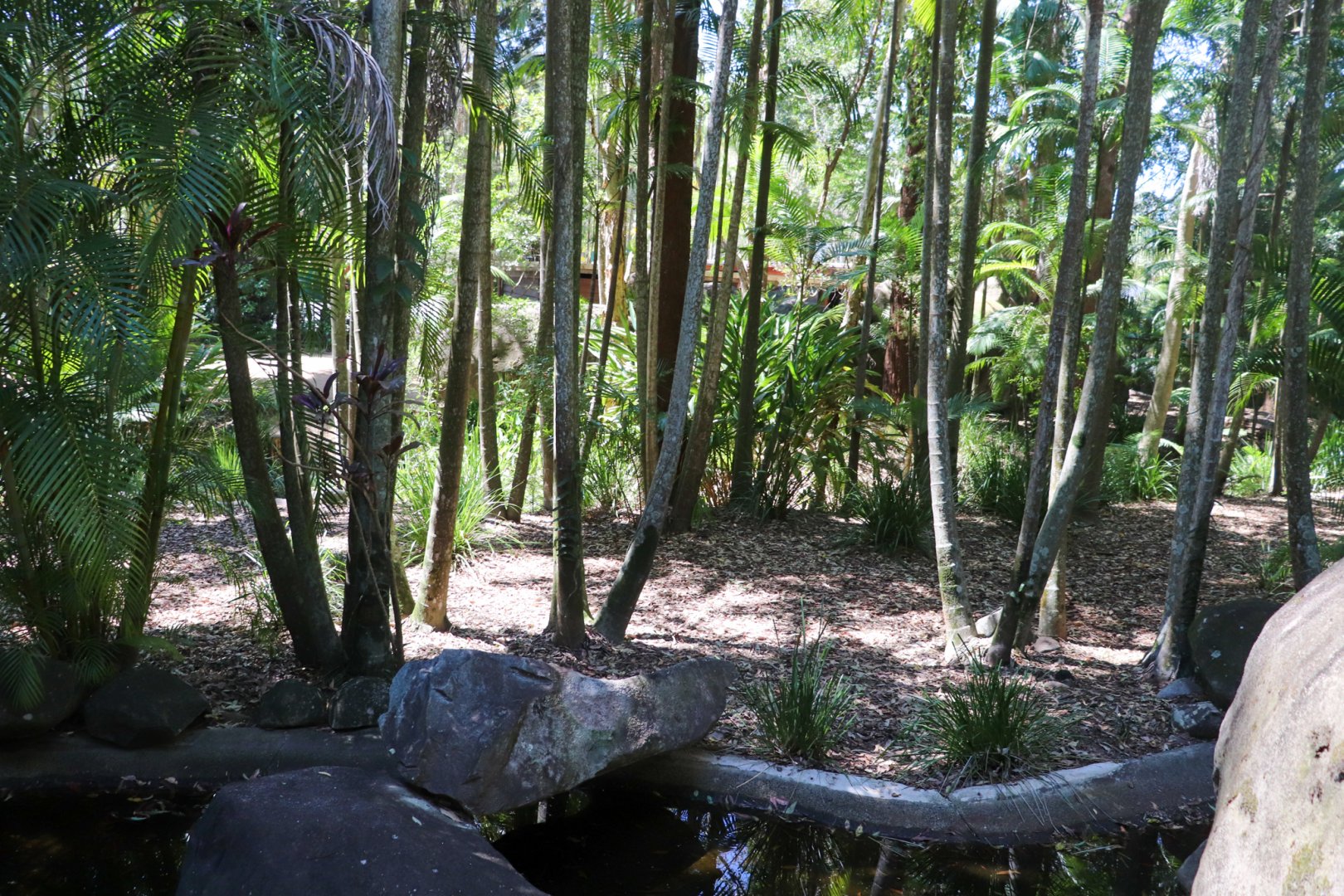 Dingo Enclosure