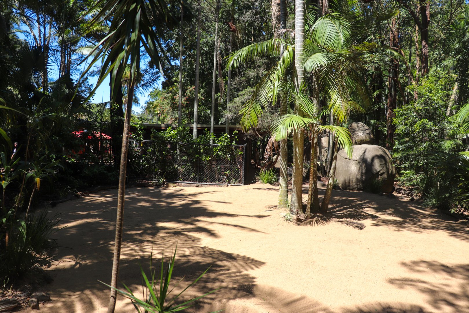 Dingo Enclosure