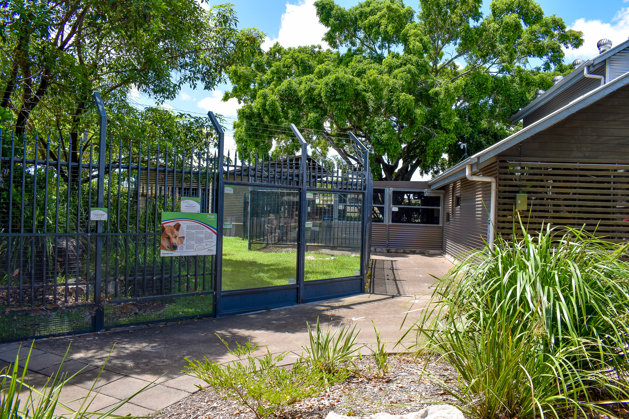 Dingo Enclosure