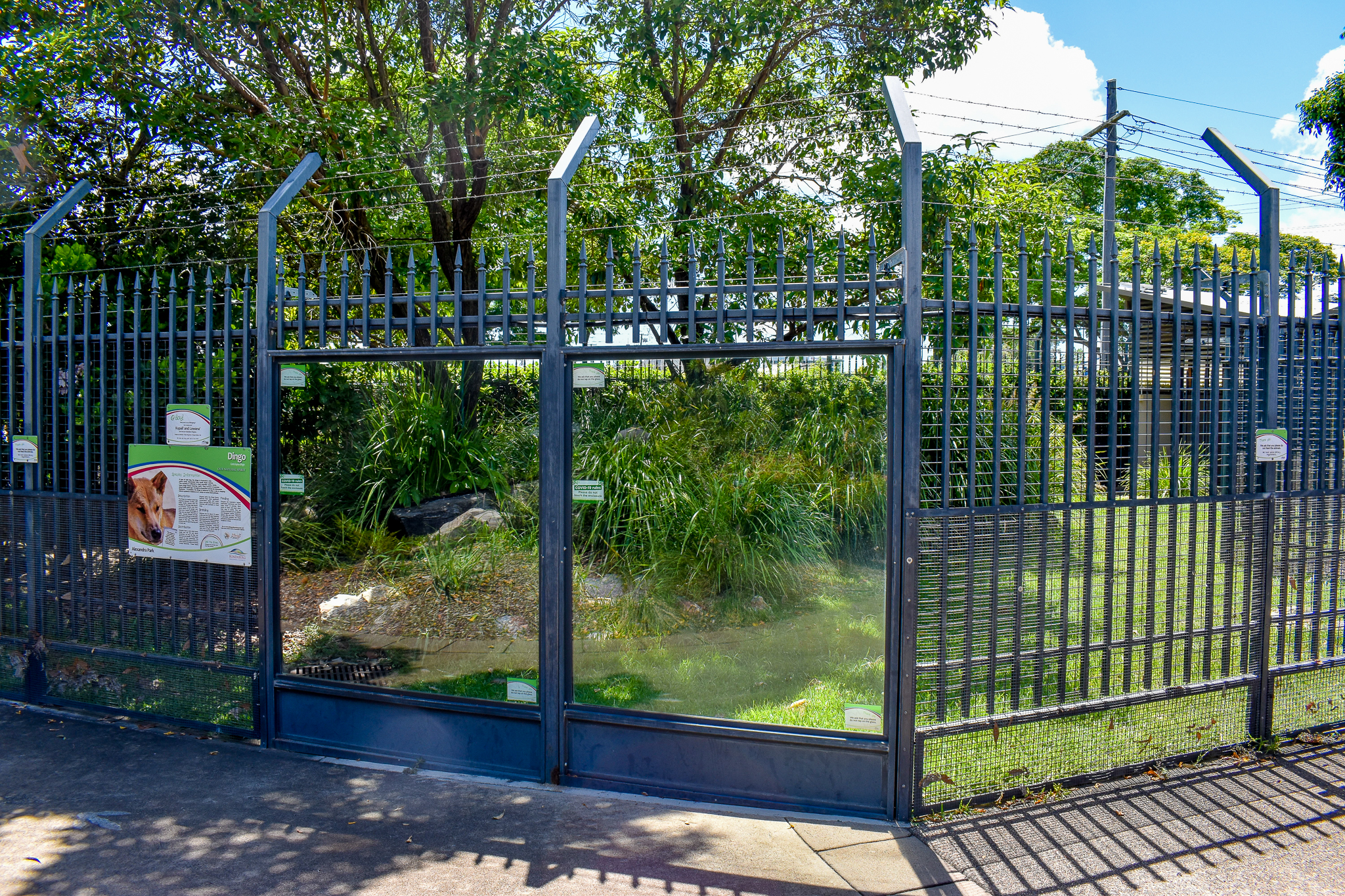 Dingo Enclosure