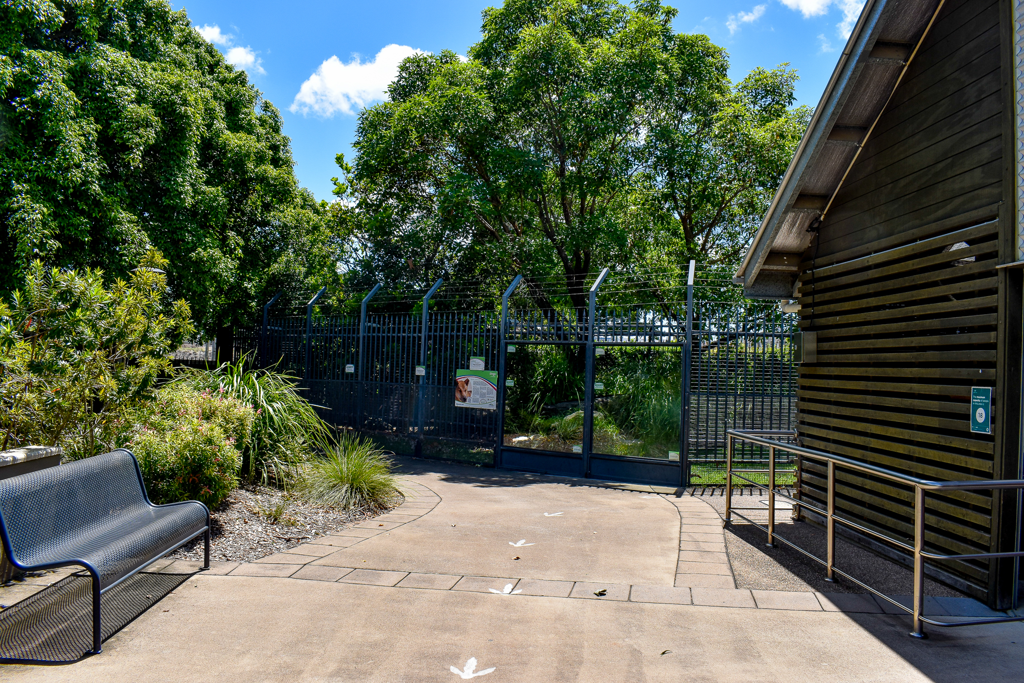 Dingo Enclosure