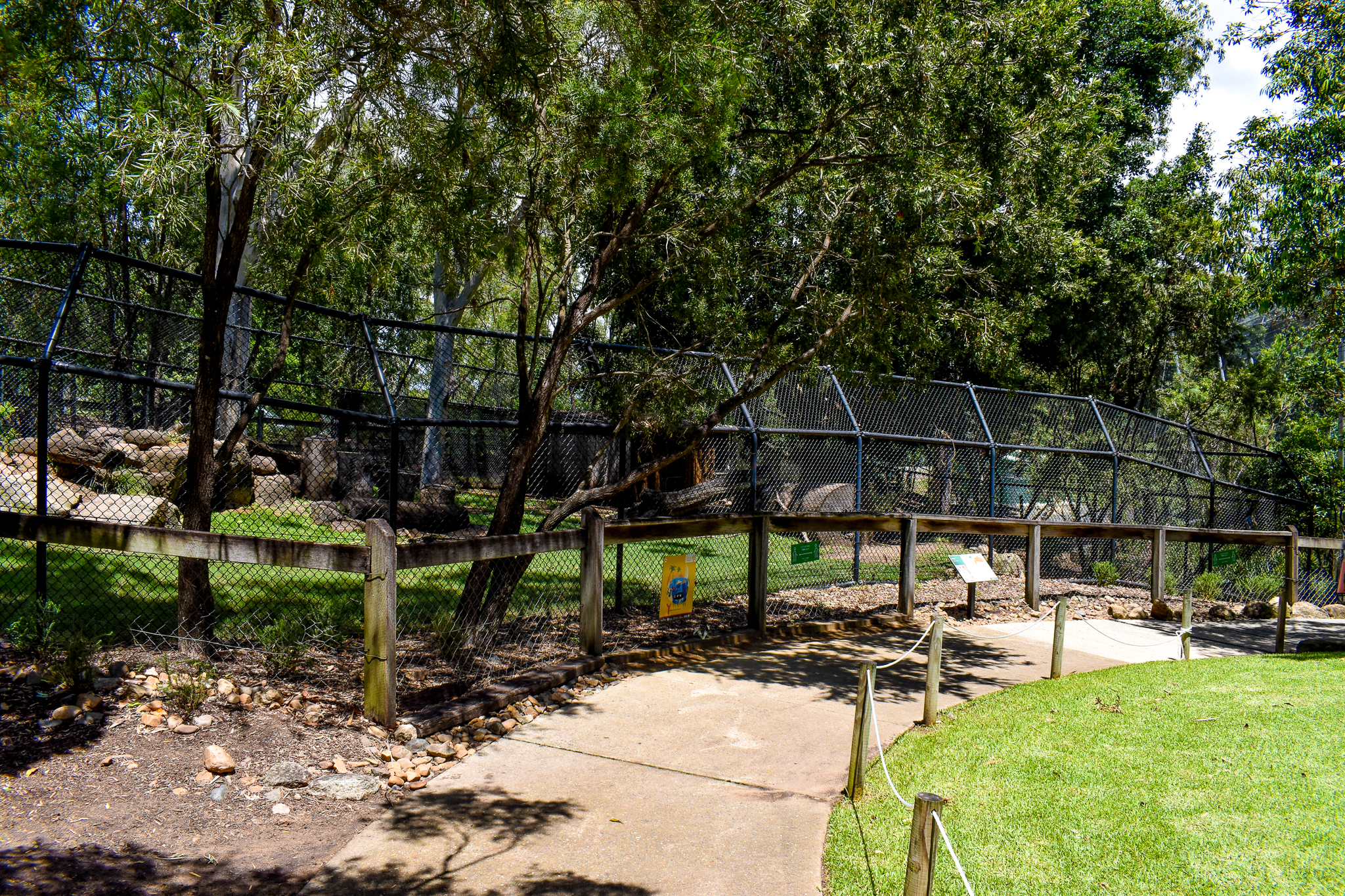 Dingo Enclosure