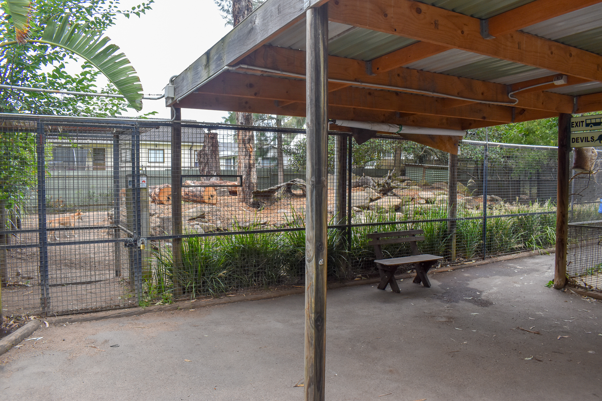 Dingo Enclosure