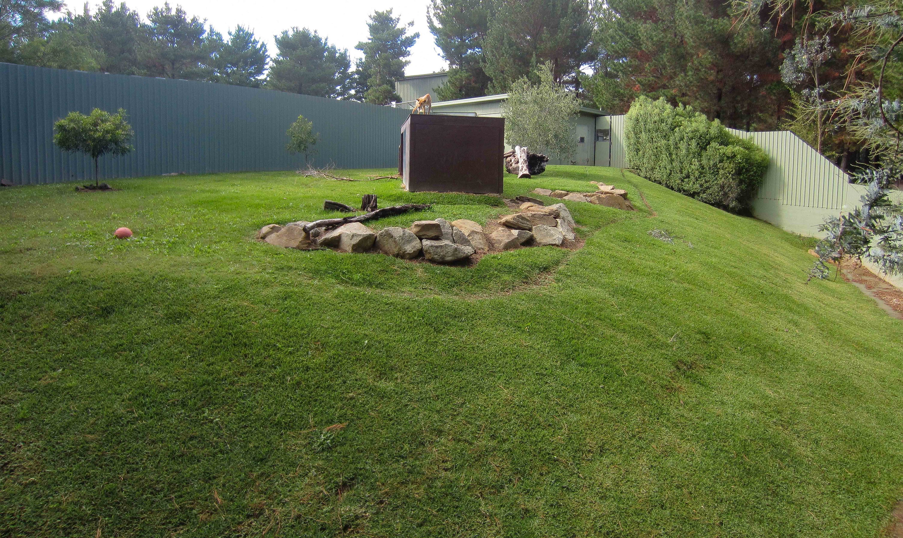 Dingo enclosure