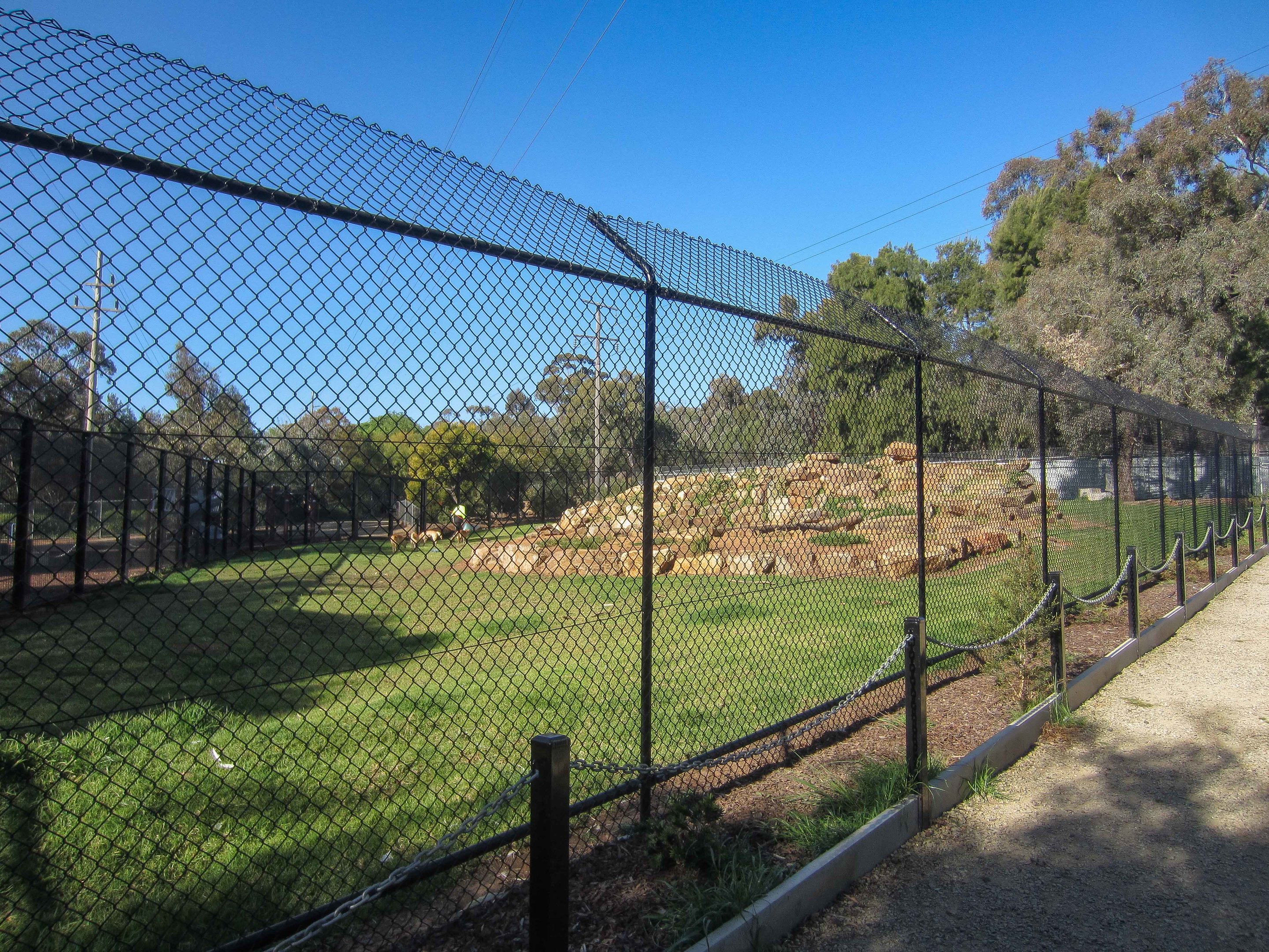 Dingo enclosure