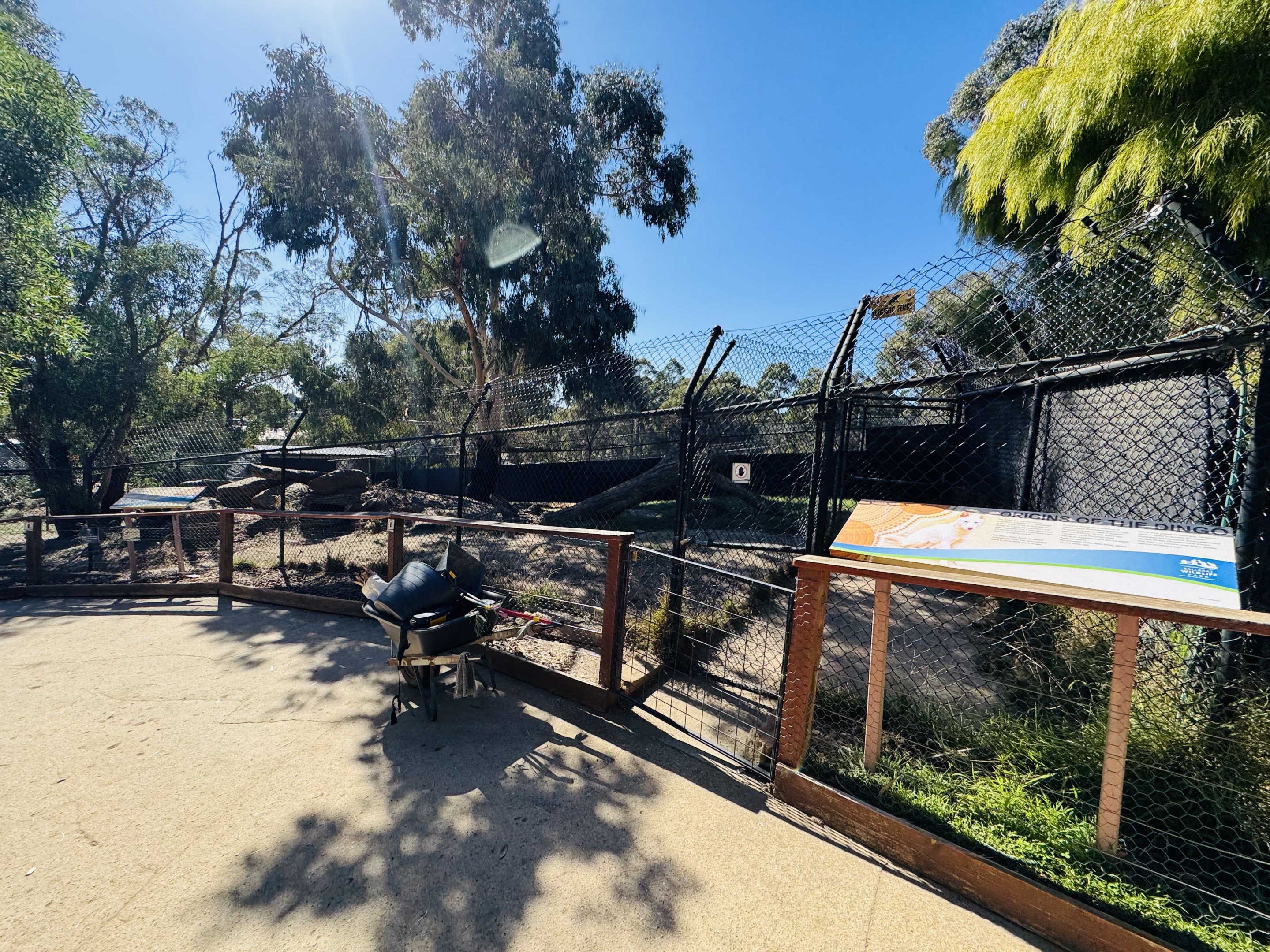 Dingo enclosure