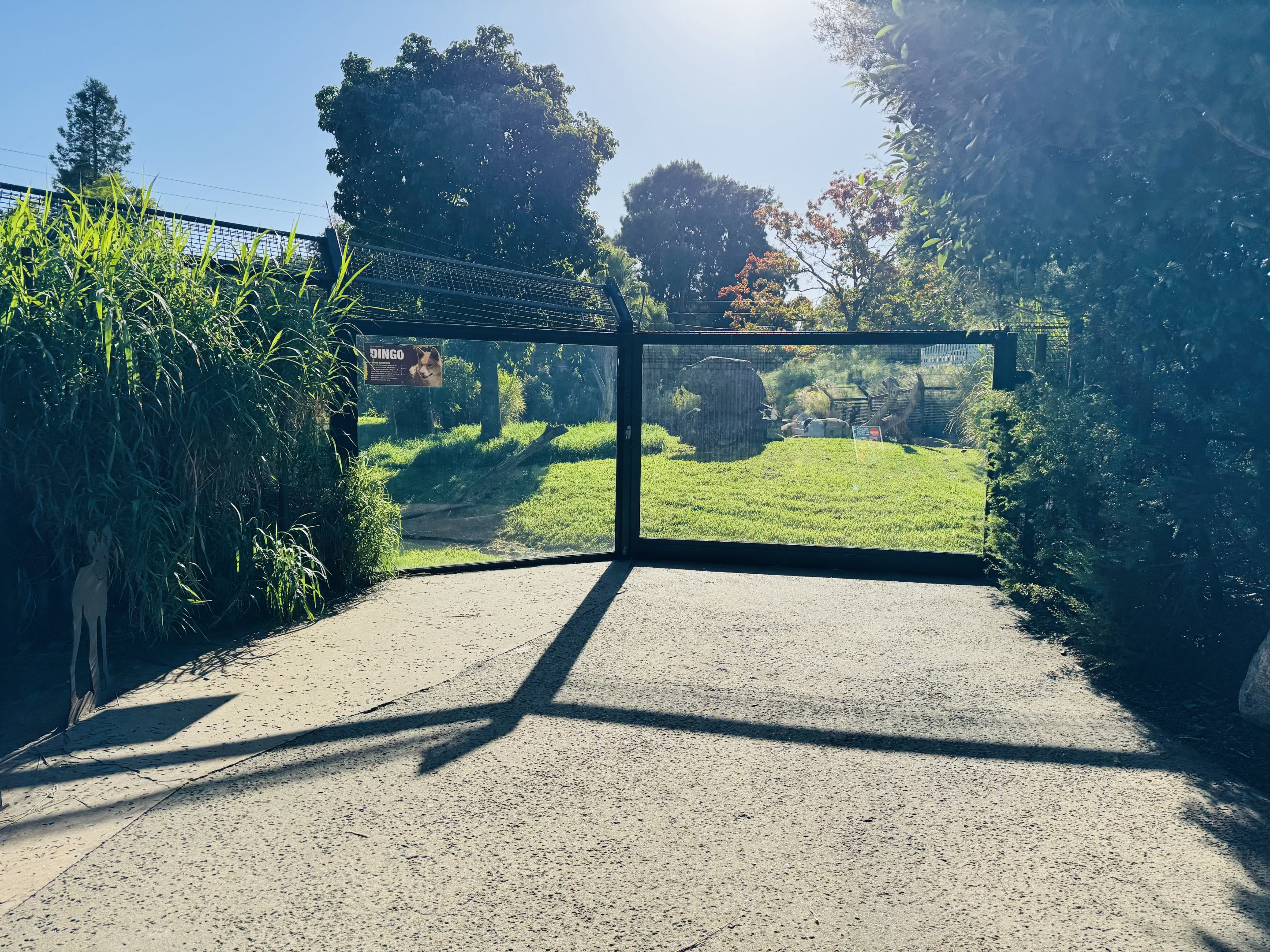 Dingo enclosure