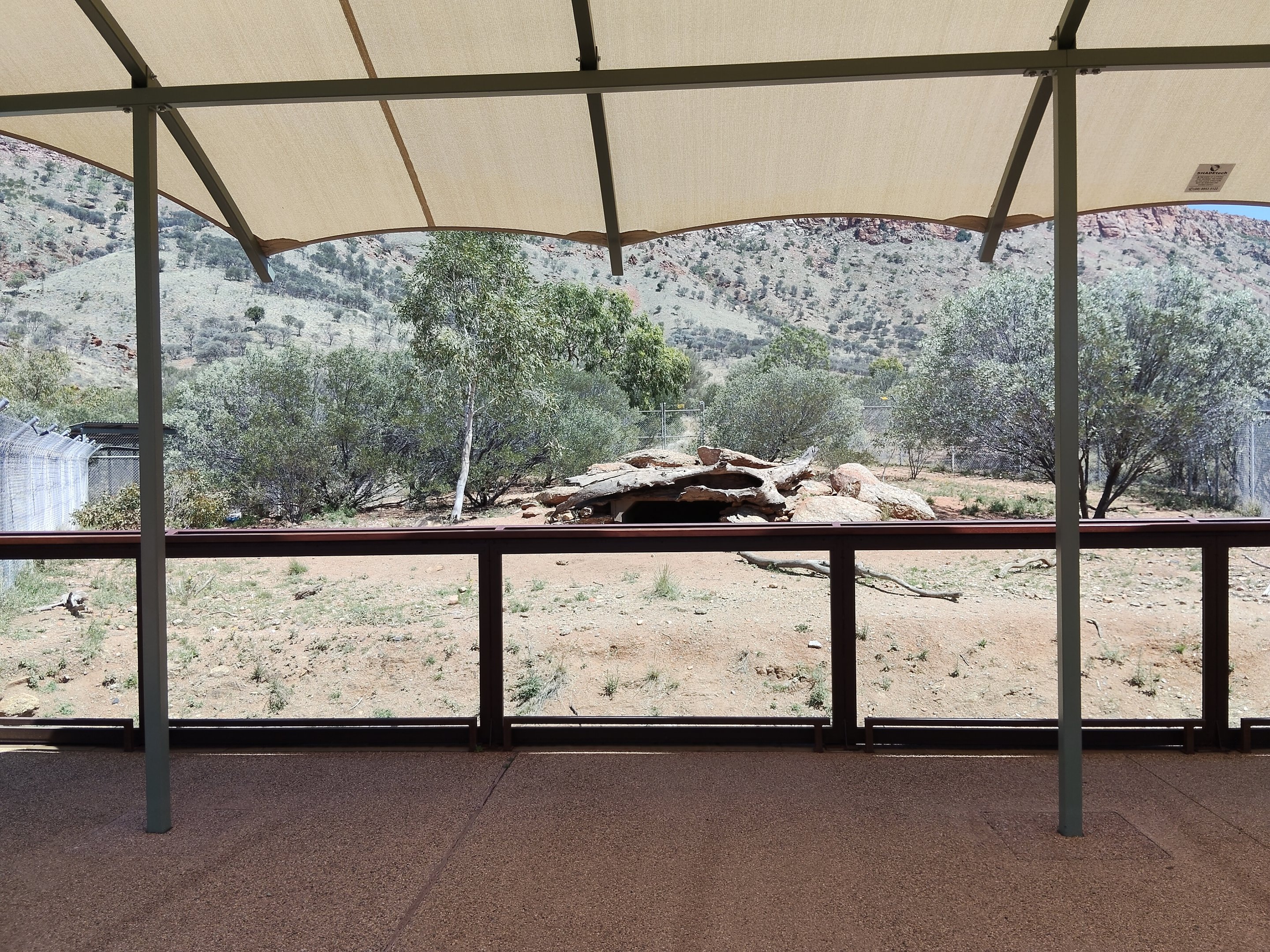 Dingo enclosure