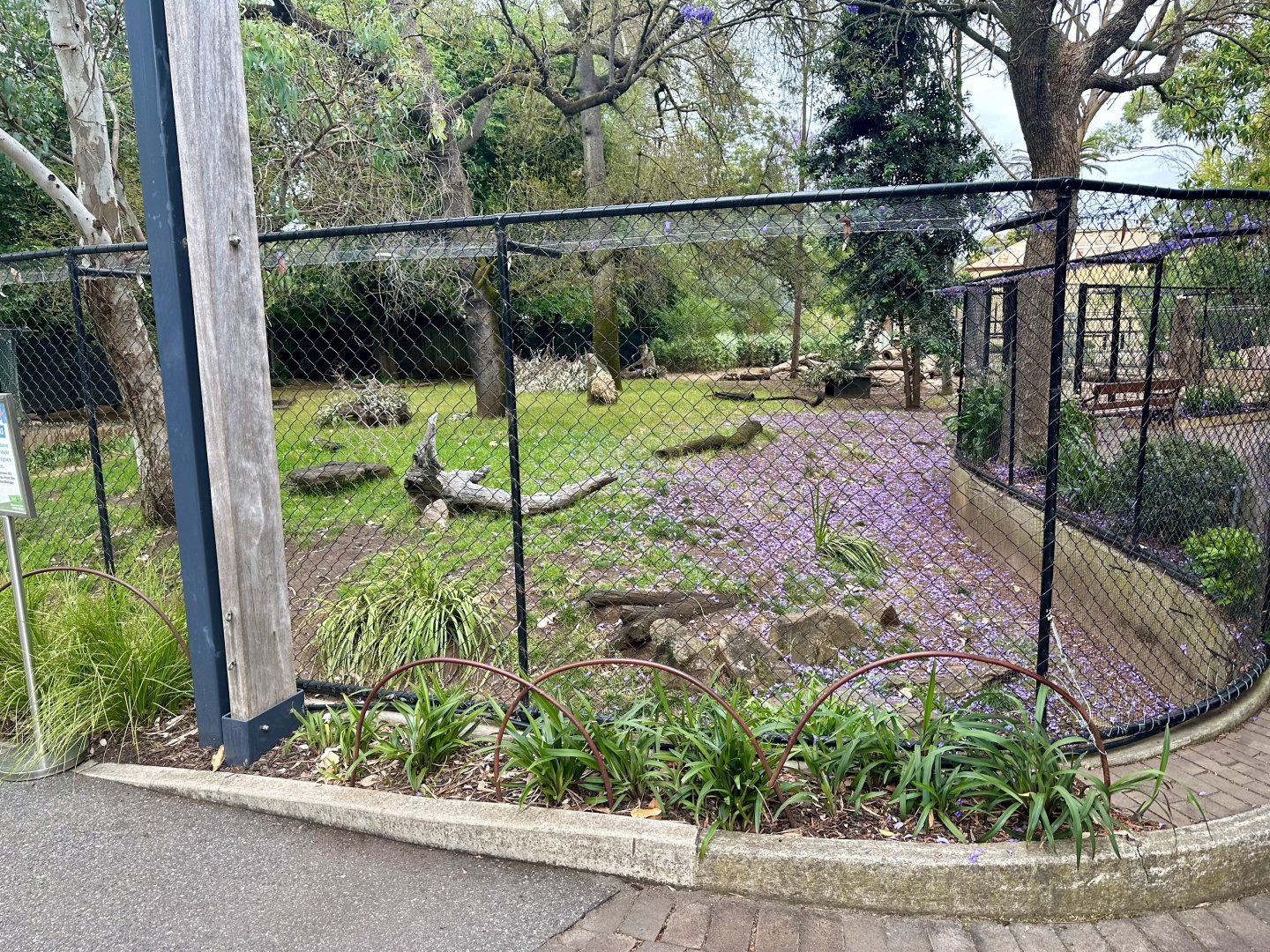 Dingo Exhibit (Currently Vacant)