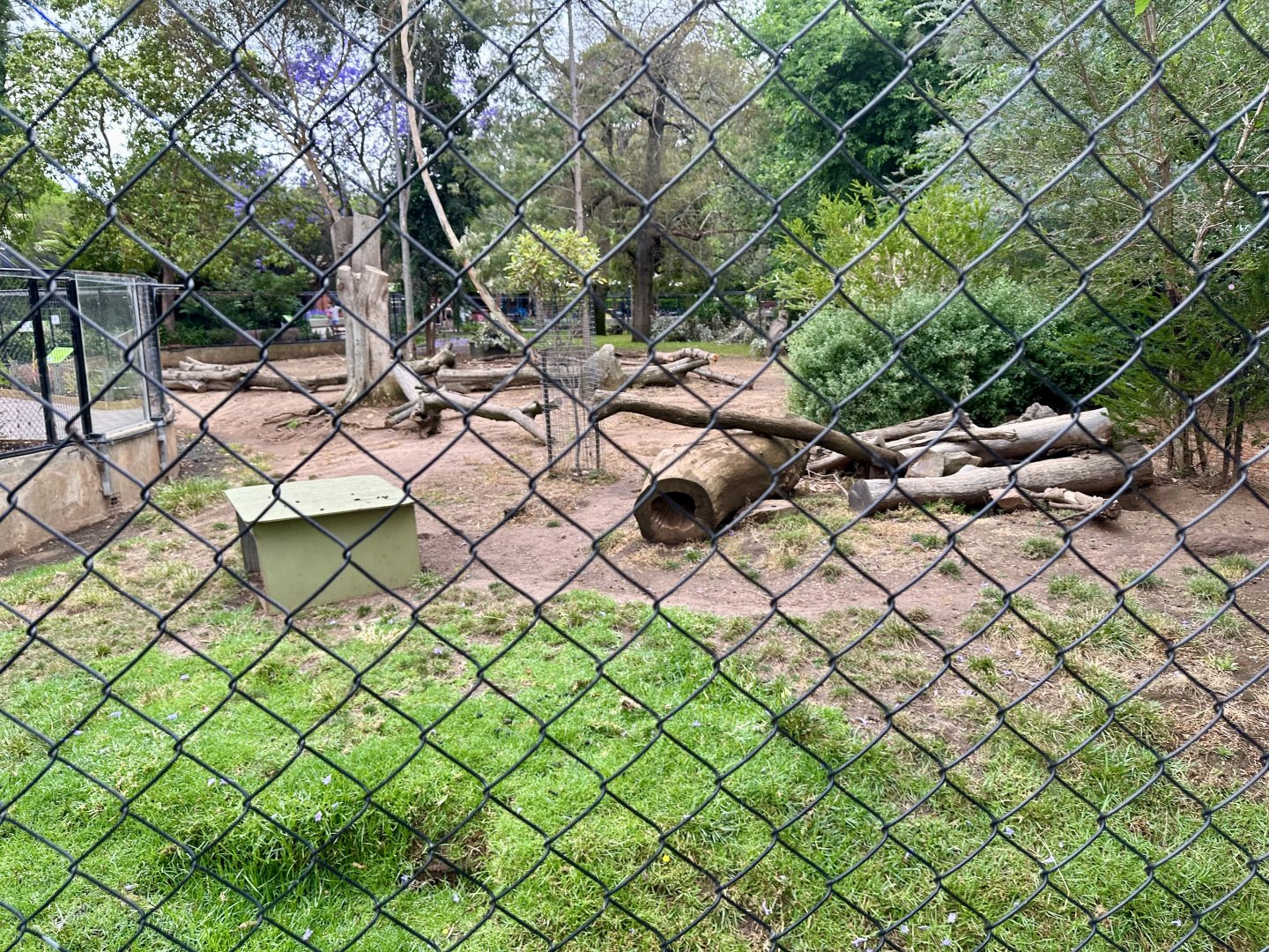 Dingo Exhibit (Currently Vacant)