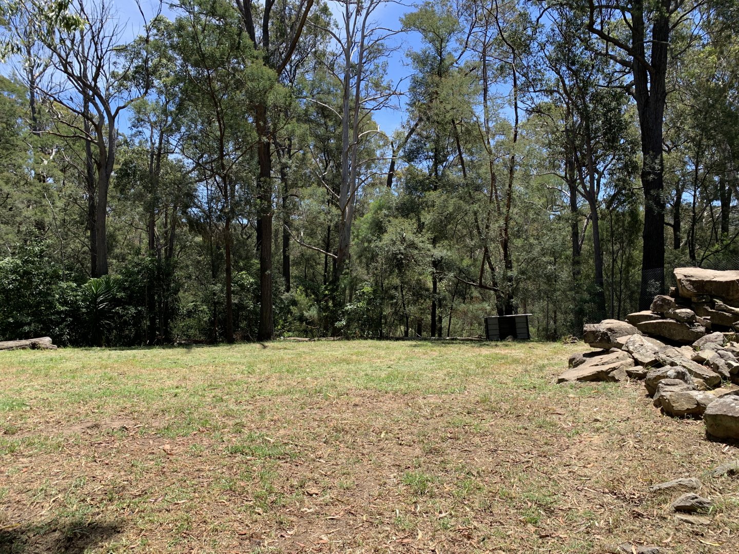Dingo Exhibit (Potoroo Palace)
