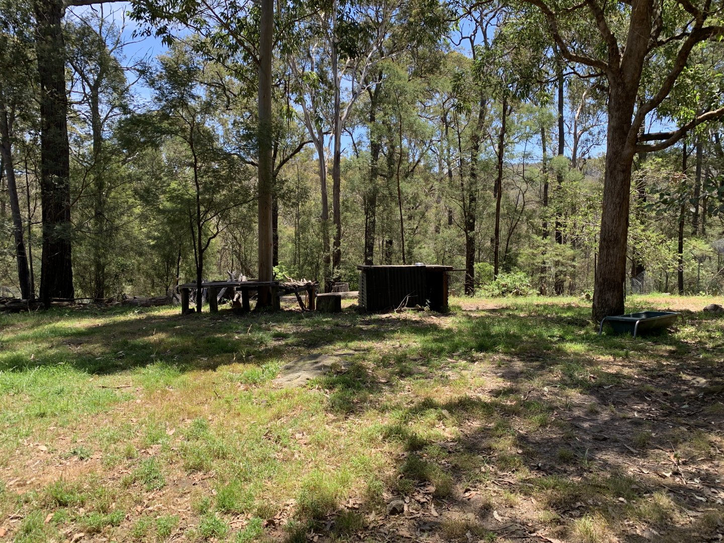 Dingo Exhibit (Potoroo Palace)