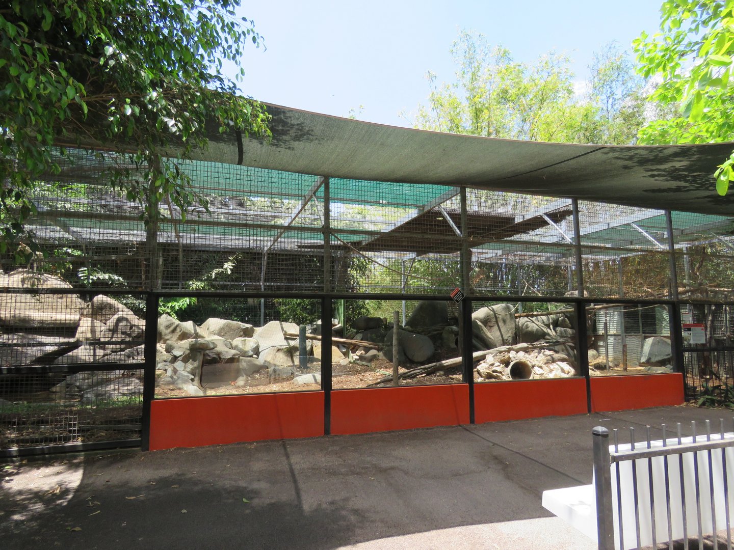 Dingo Exhibit