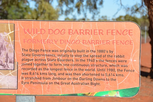 Dingo fence sign