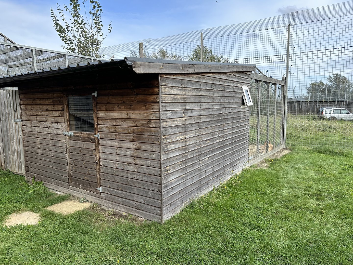 Dingo House at Hamerton Zoo Park (October 2023)