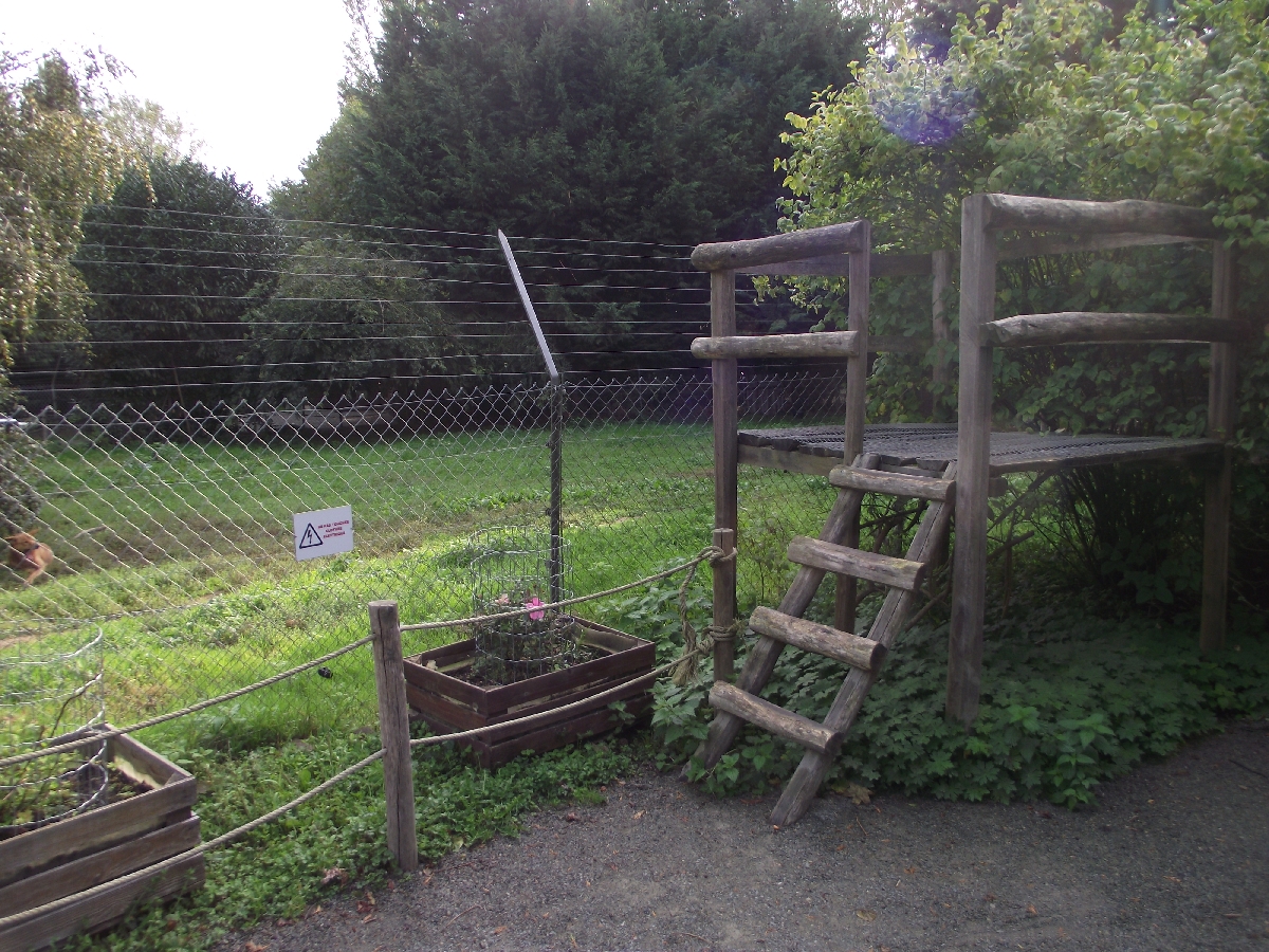 Dingo Photography Platform