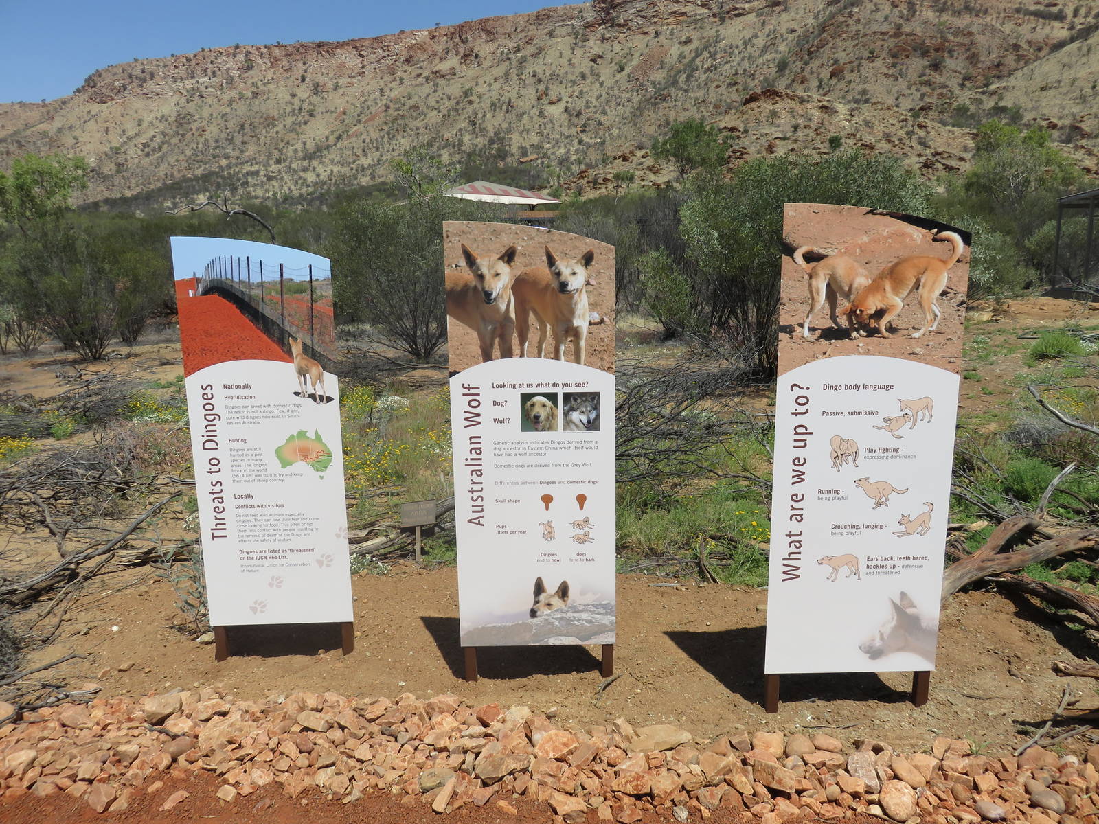 Dingo Signage, Alice Springs Desert Park