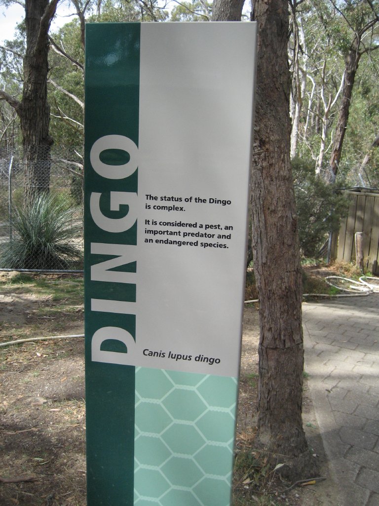Dingo signage