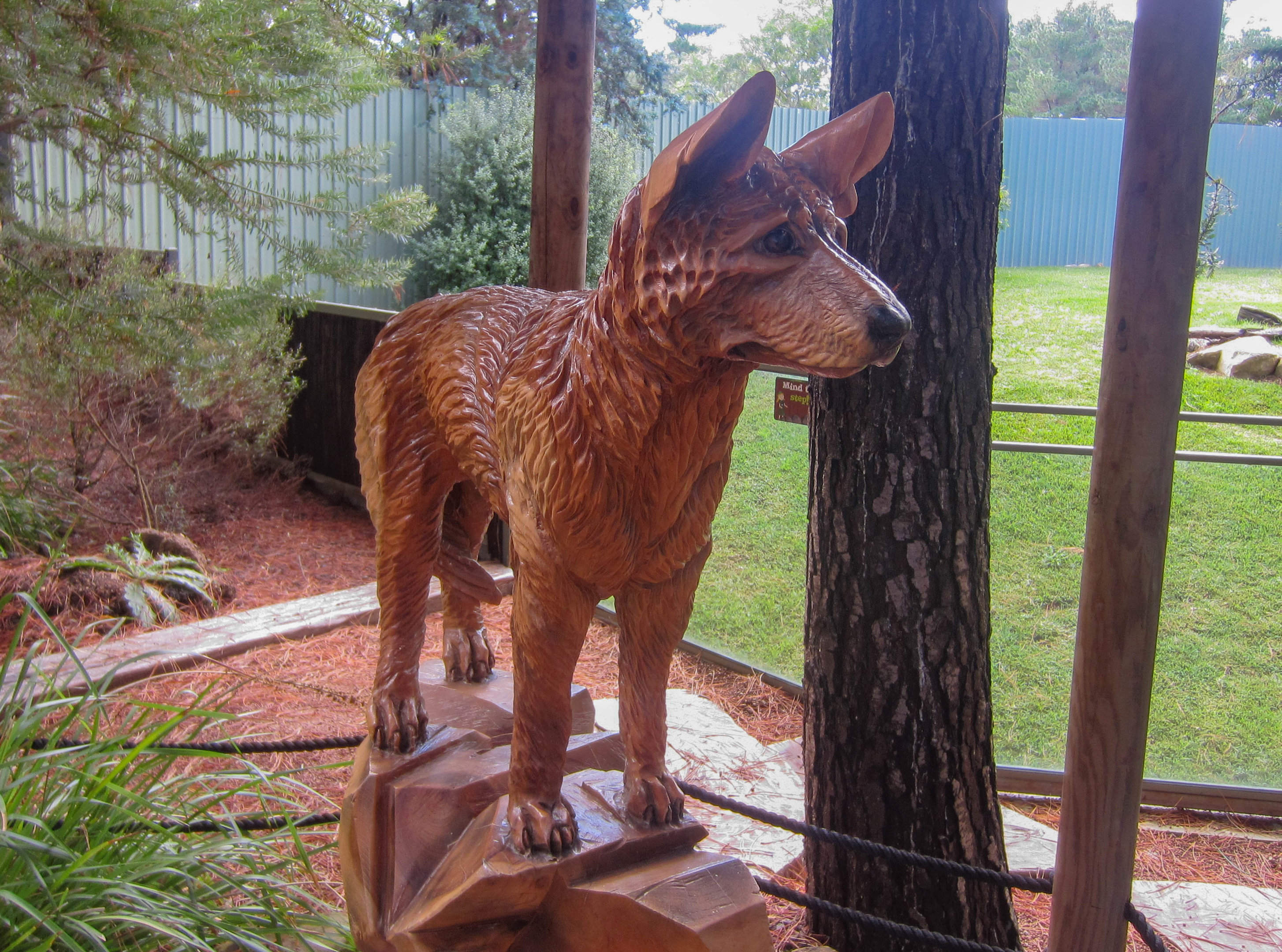 Dingo statue