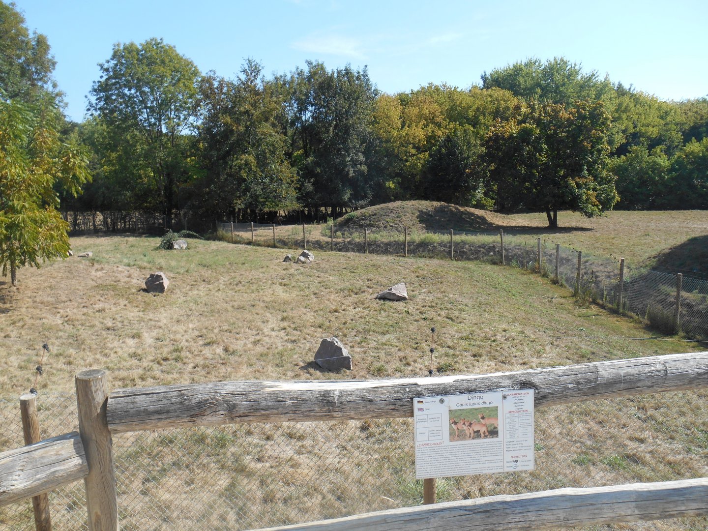 Dingos (in front) and Emus (behind) Exhibits