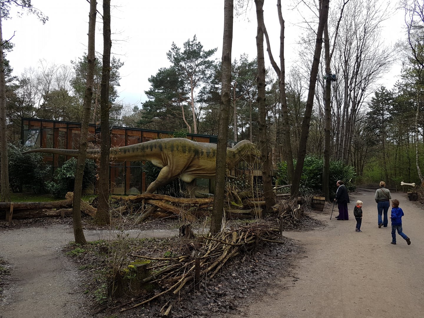 Dino and Tortoise-house