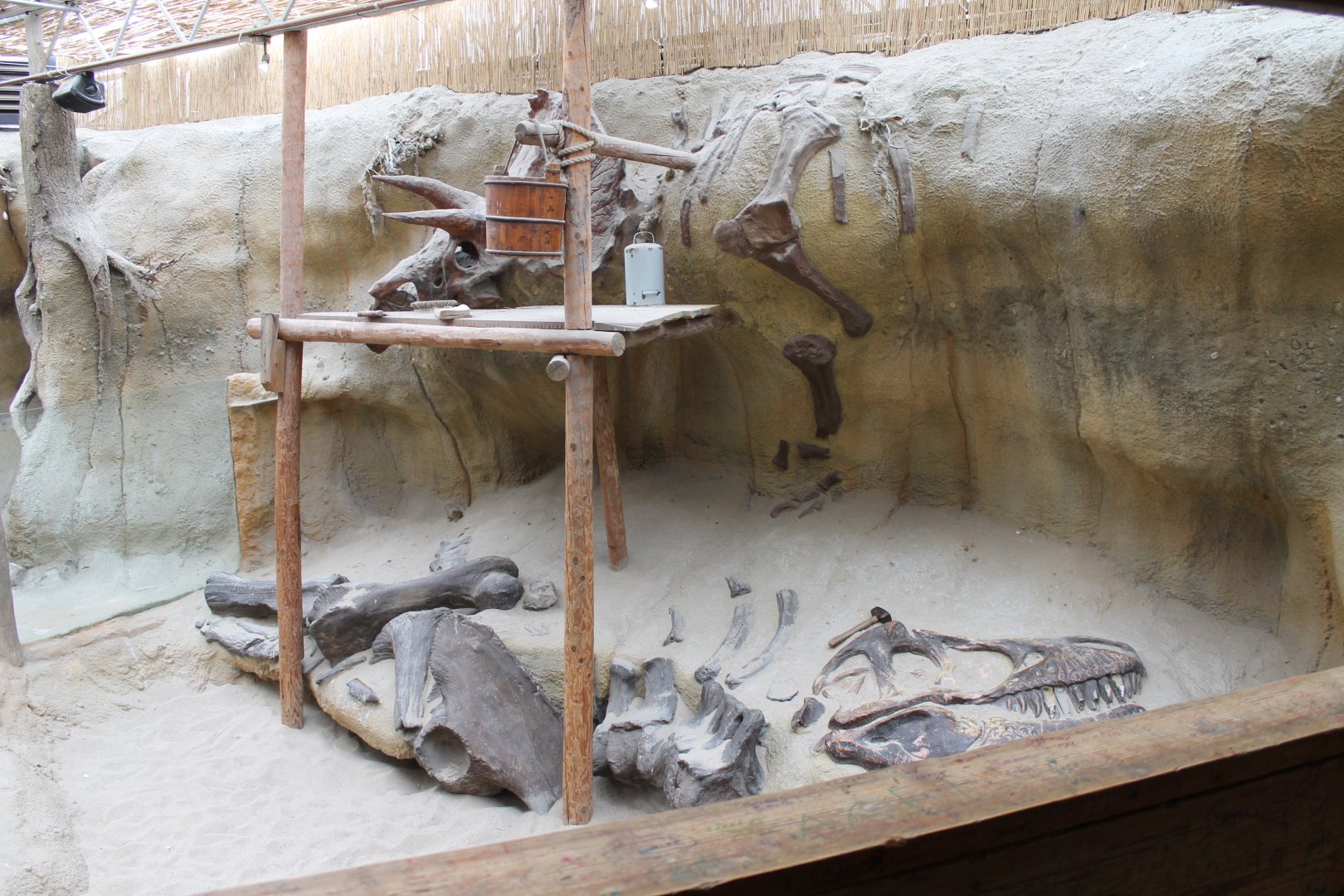 Dino-excavation-site