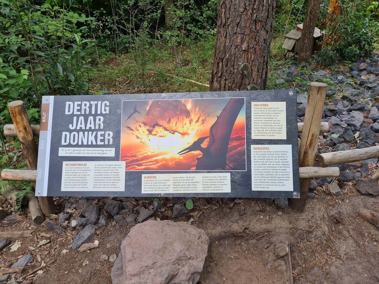 Dino forest - "30 years of darkness" signage