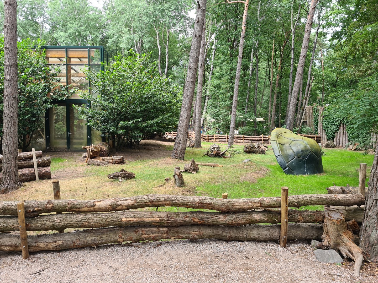 Dino forest - Aldabra giant tortoise yard and greenhouse