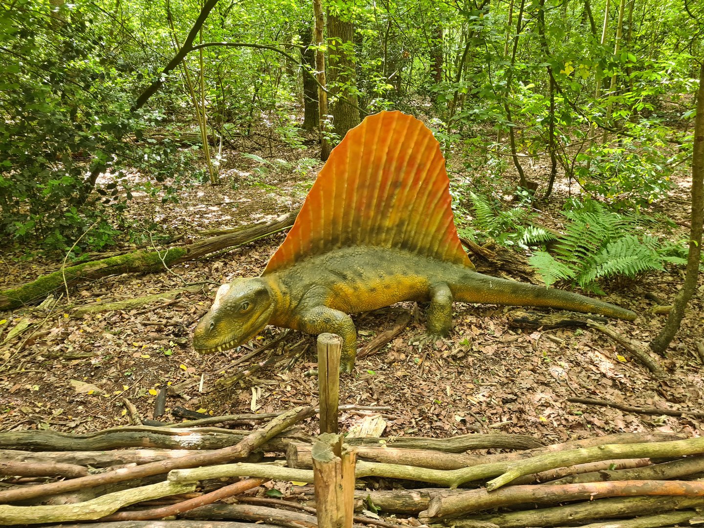 Dino forest - Dimetrodon