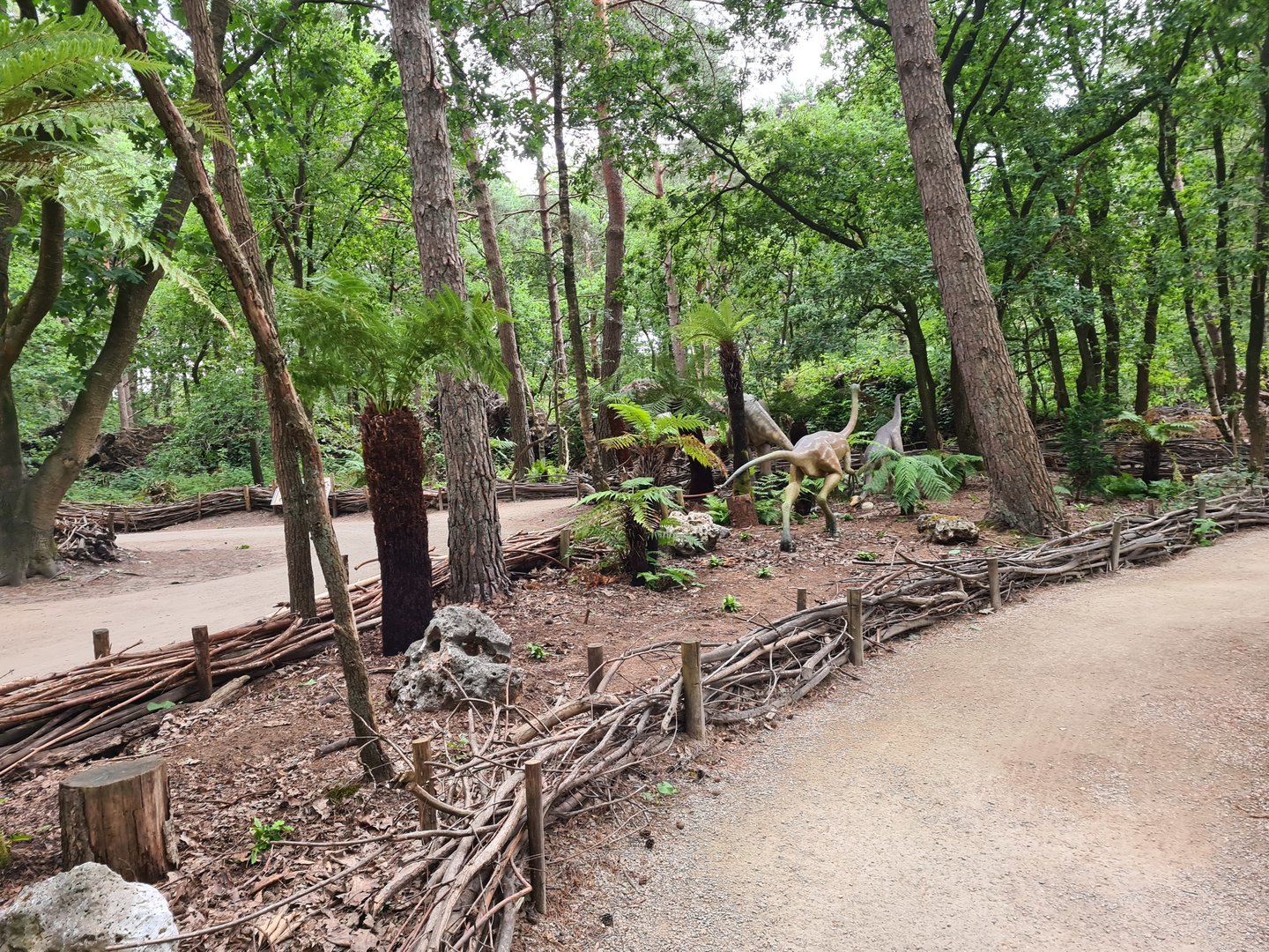 Dino forest - Fern trees and Gallimimus