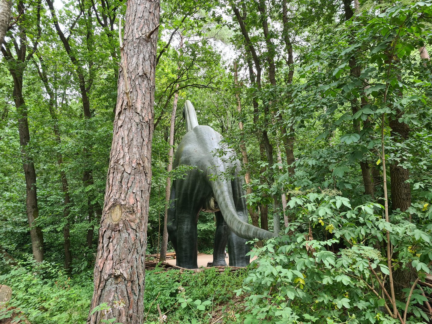 Dino forest - Giant Brachiosaurus