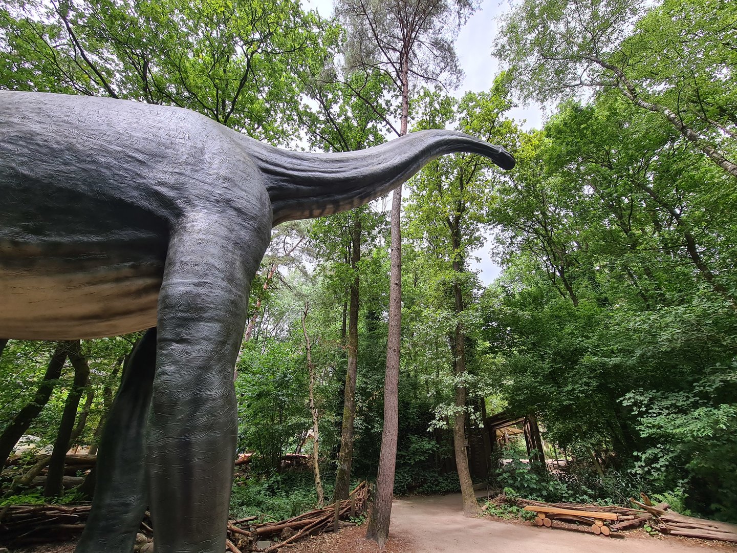 Dino forest - Giant Brachiosaurus