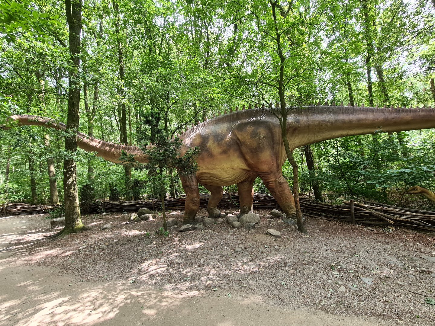 Dino forest - Giant Diplodocus
