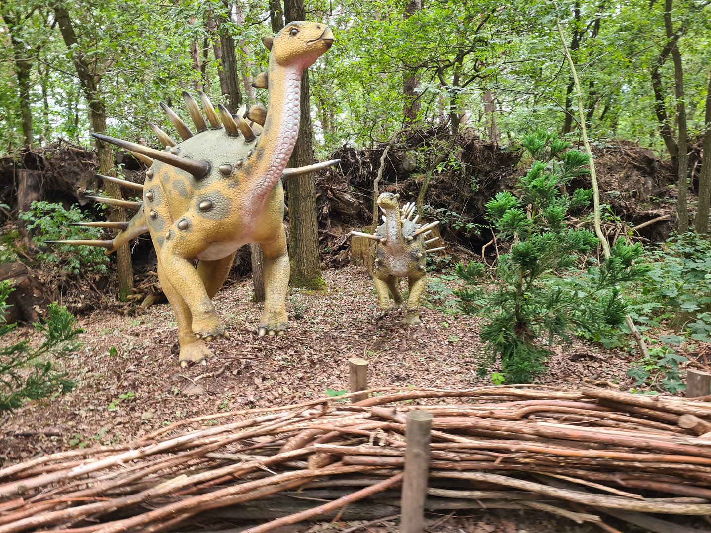 Dino forest - Kentrosaura