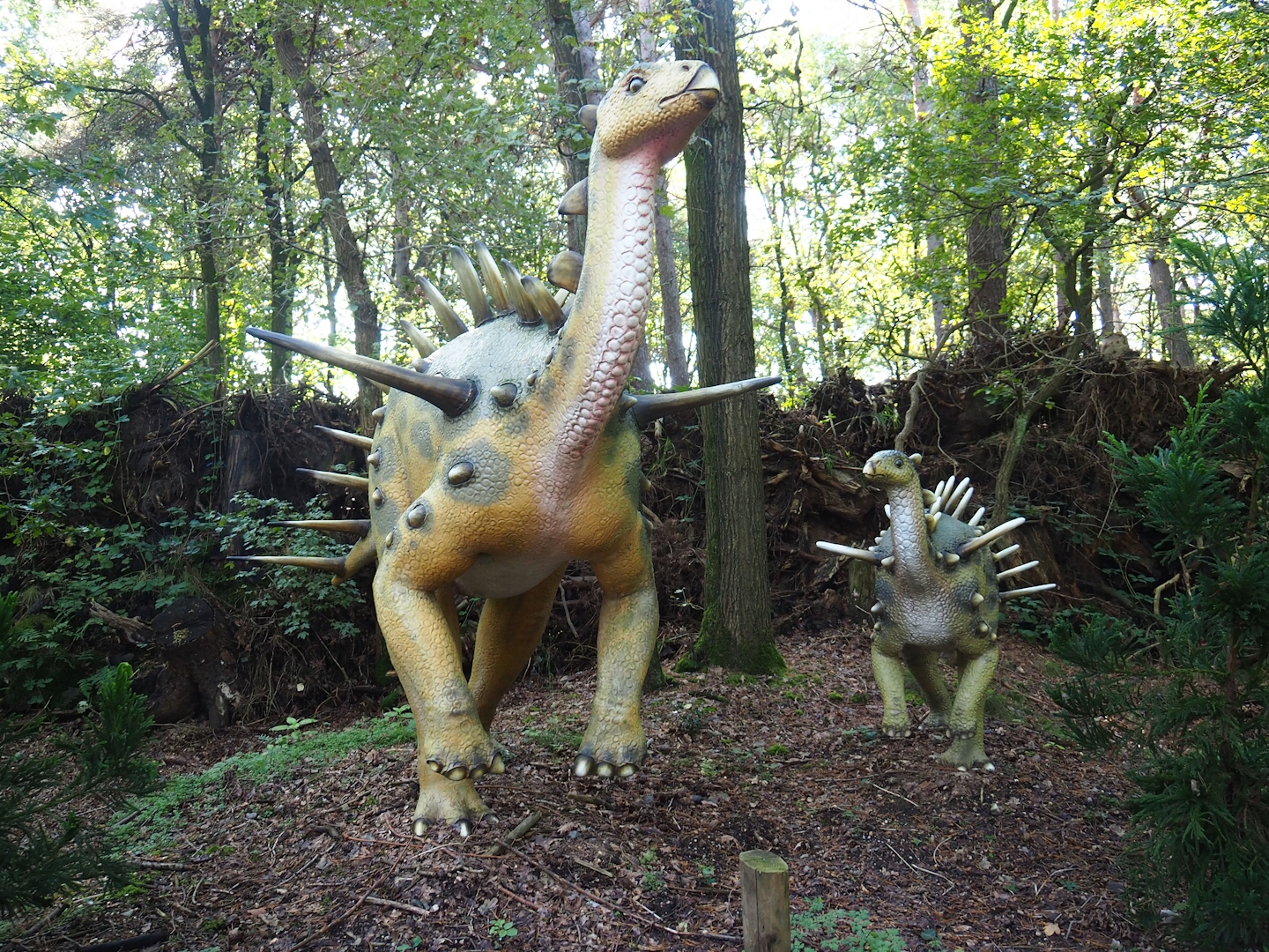 Dino Forest - Kentrosaurus models, 2023-09-24