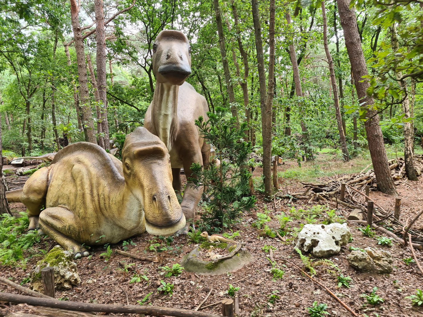 Dino forest - Maiasaura