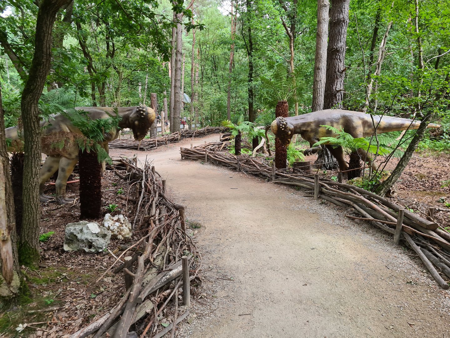 Dino forest - Pachycephalosaura